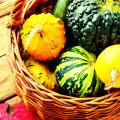 Pumpkins, Squash & Gourds